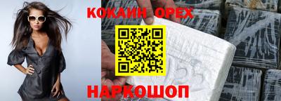дмт Кингисепп
