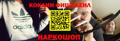 дмт Кингисепп