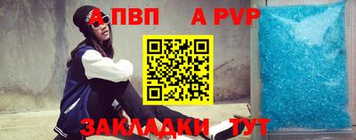 дмт Кингисепп