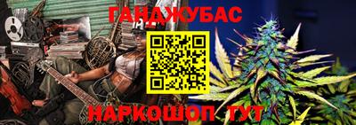дмт Кингисепп