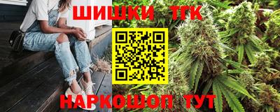 дмт Кингисепп