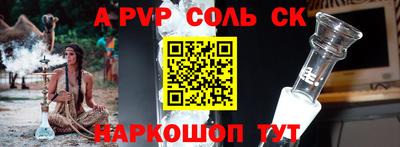 дмт Кингисепп